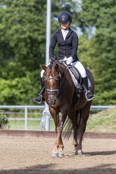 Bild 346 - Pony Akademie Turnier